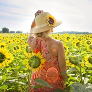 © pixabay Sommer