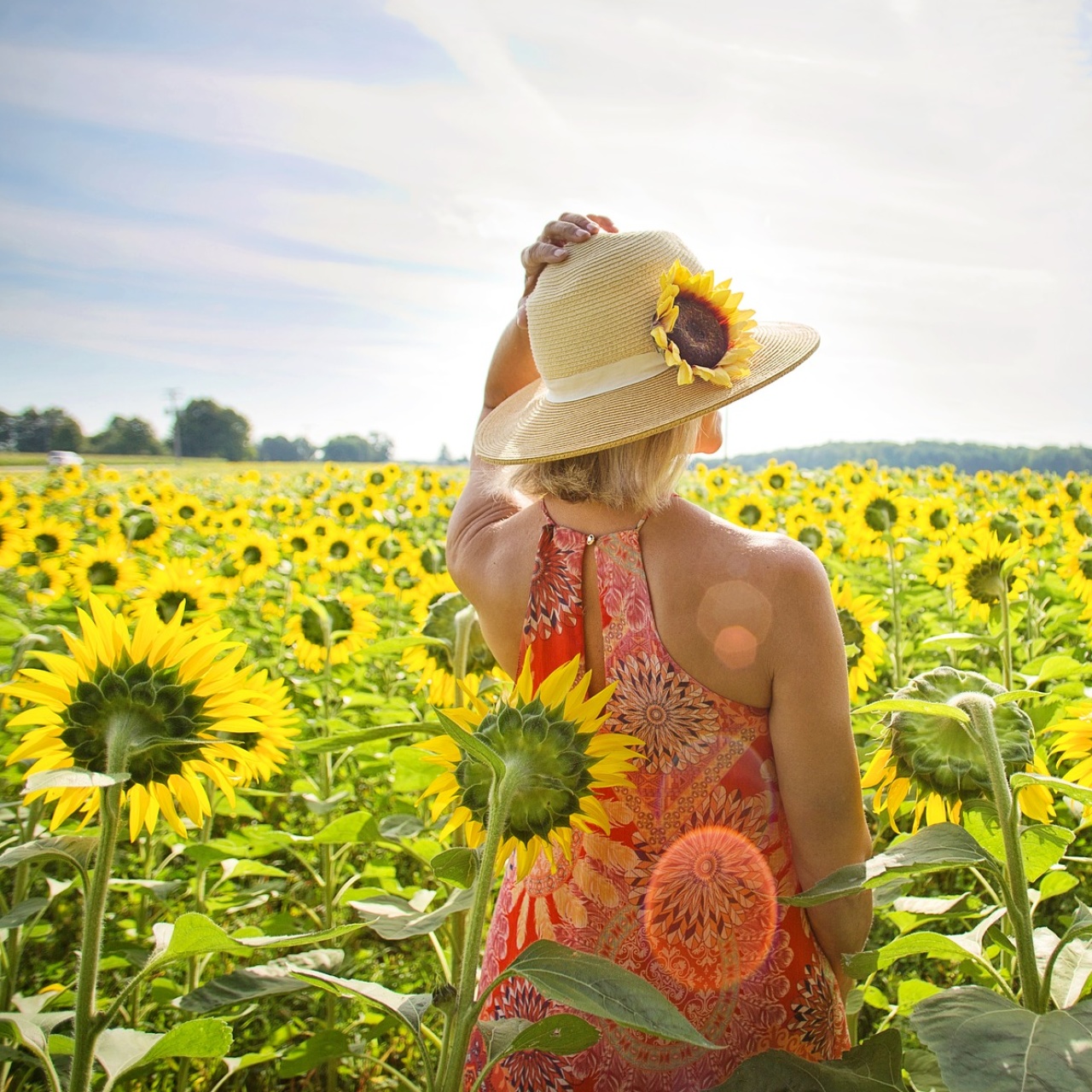 Sommer