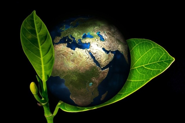 © Pixabay Veganuary
